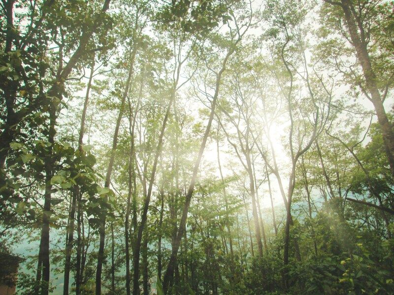 Dalhousie Travel Guide