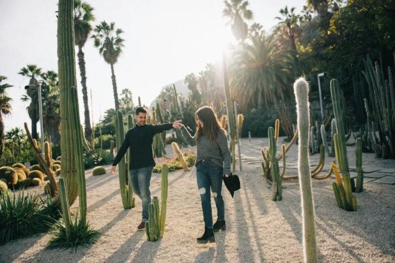 Cactus Park in Al Jaddaf Dubai 