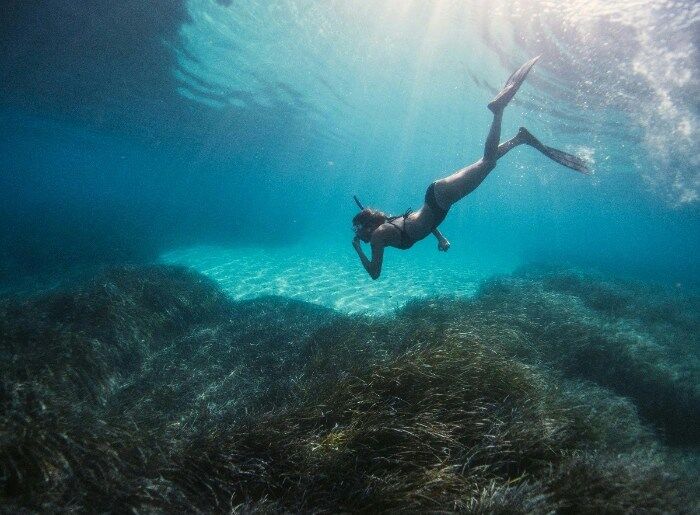 Diving into the ocean