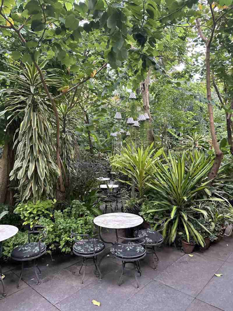 wild garden cafe chennai
