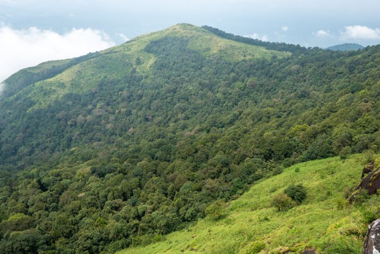 National Reserve Forests In Karnataka (2)