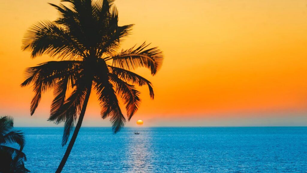 Old Goa 1 Day Walking Tour: Best Places To Cover 1 Old Goa 1 Day Walking Tour