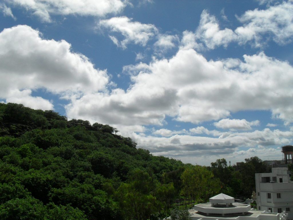 How To Spend A Day In Baner, Pune? 12 baner hill nature from my house scaled 1