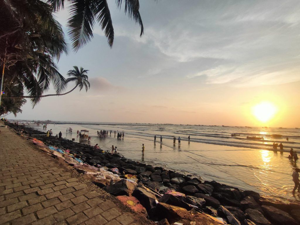 How To Spend A Day In Gorai, Mumbai? 11 gorai 1 scaled 1