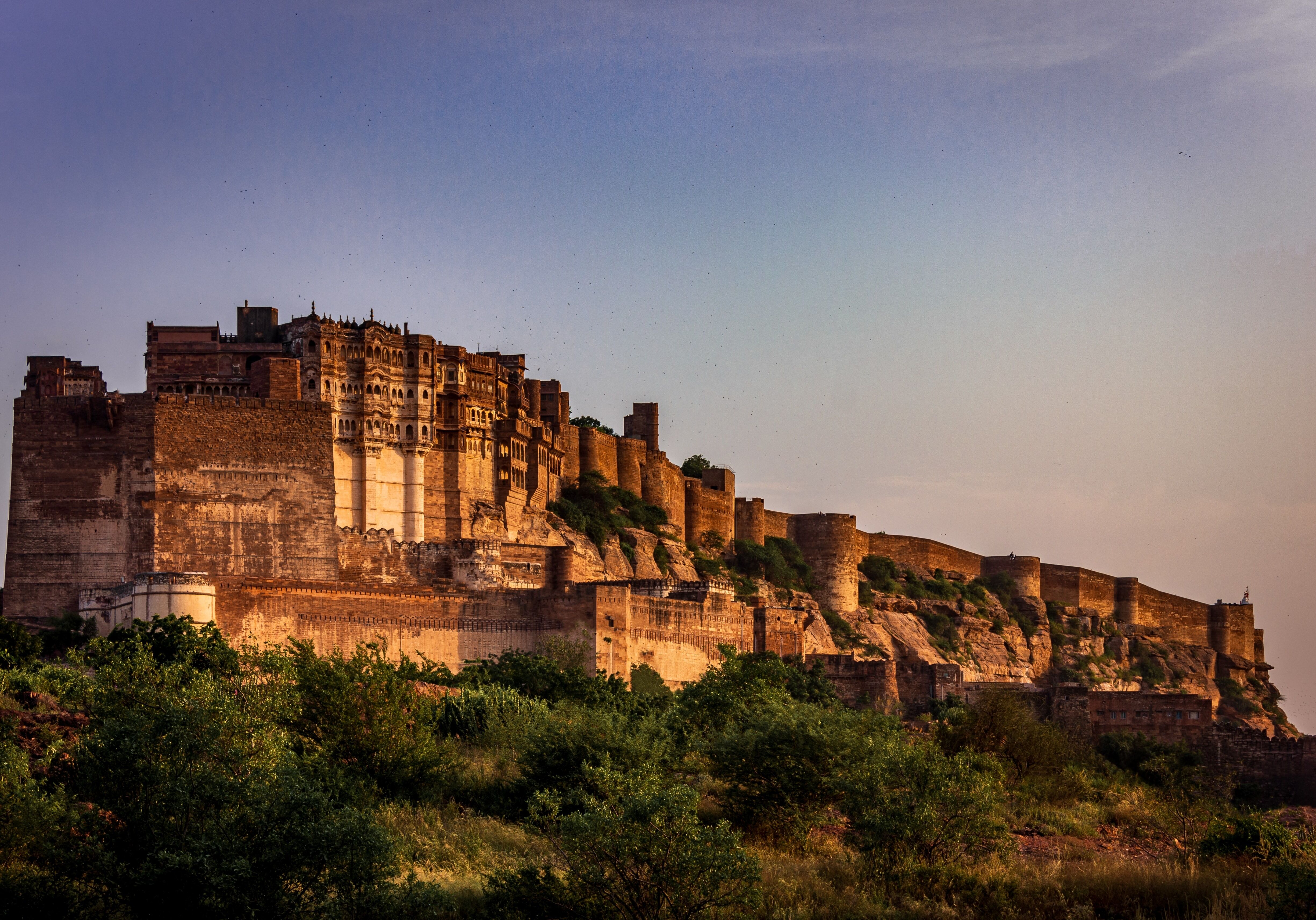 Homestays In Jodhpur: 7 Stays In Jodhpur You Must Check Out For Homely Vibes