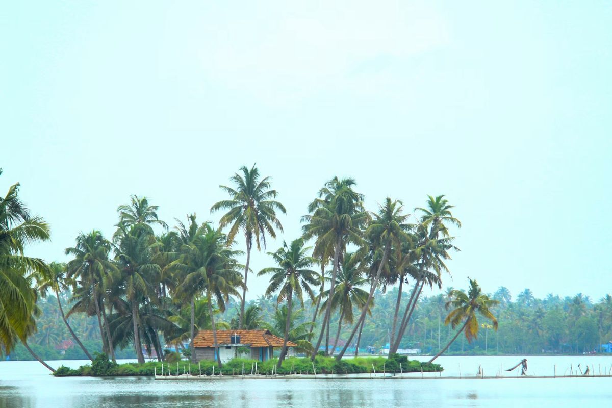 1 day trips from Kochi