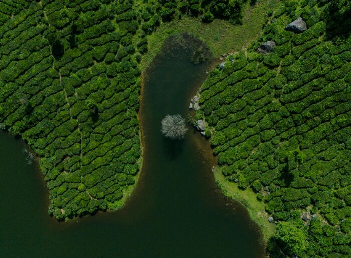 Local Guides Reveal Hidden Monsoon Spots Tourists Don't Know About 4 7 Hidden Monsoon Destinations In India