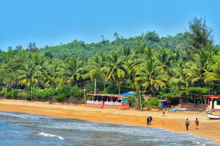 82 Lakh Square Meter Land Declared As No Development Zone In Goa 2 Goa NDZ (1)
