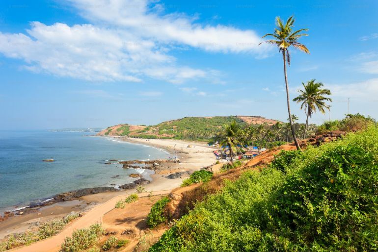 82 Lakh Square Meter Land Declared As No Development Zone In Goa 1 Goa NDZ