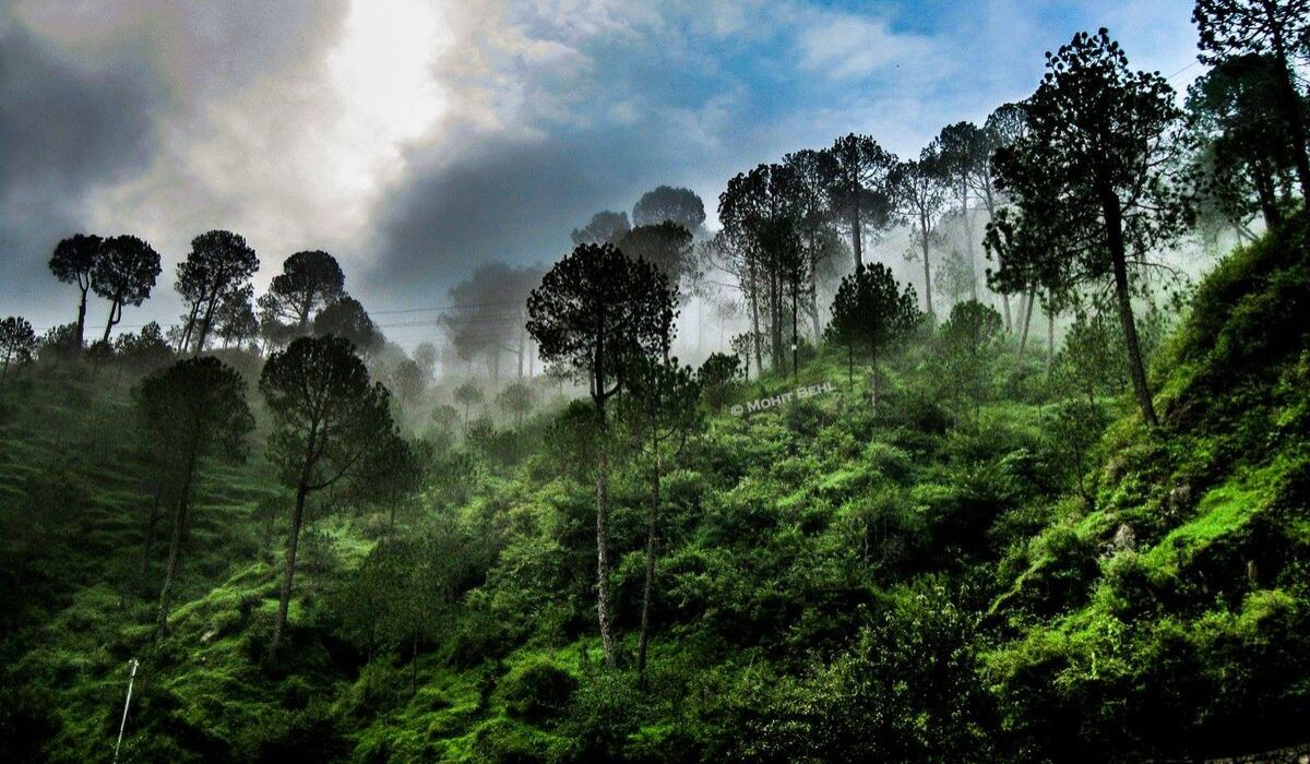 2 Day Kasauli Itinerary covering viewpoints, walking trails and places to visit in Himachal Pradesh