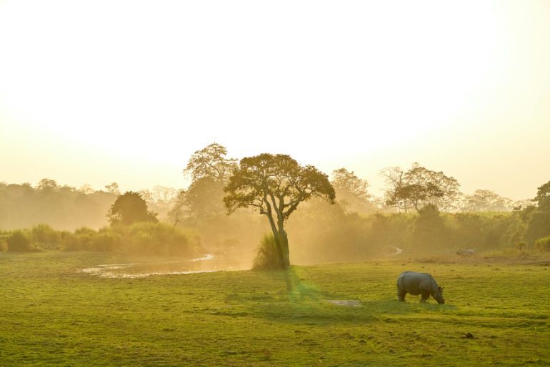 A 14-Day Guide To Backpacking Through Northeast India 1 backpacking through northeast india