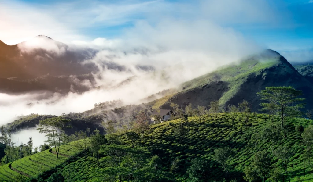 10 Best Places To Visit In Idukki: Munnar, Thekkady, Vagamon & More 5 Best places to visit in Idukki, Kerala, featuring green hills, tea plantations, waterfalls, and scenic mountain landscapes