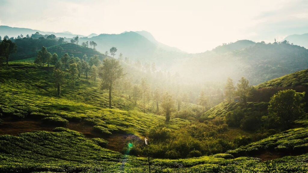 Wayanad 3 Days 2 Nights Itinerary: Complete Plan 7 Wayanad 3 Days 2 Nights Itinerary