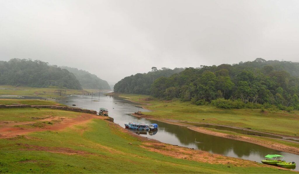 Complete Travel Guide to Thekkady: Places, Food, Stay & Costs 1 Complete Travel Guide to Thekkady