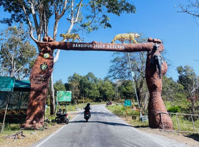 India’s 10 Best National Parks To Visit In September 2026 6 Best National Parks To Visit In India