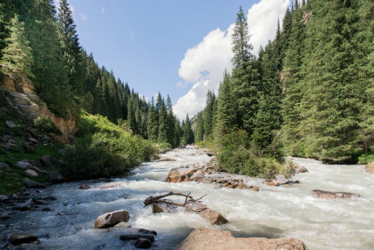 Can You Visit Kyrgyzstan On A Budget? Budget-Friendly Travel Guide For Indians 2 kyrgyzstan on a budget