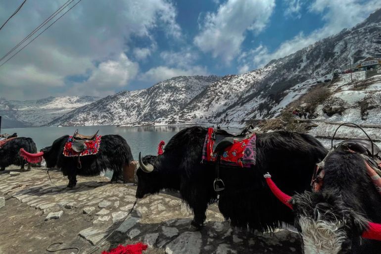 What Is Sikkim Famous For? Places & Experiences To Know 1 Himalayan landscape and Kanchenjunga views in Sikkim