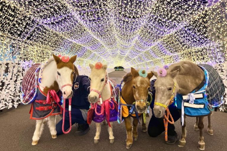 Tokyo Mega Illumi 2026 Is Back For Its Final Season: Dates & More Inside 1 Tokyo Mega Illumi 2026
