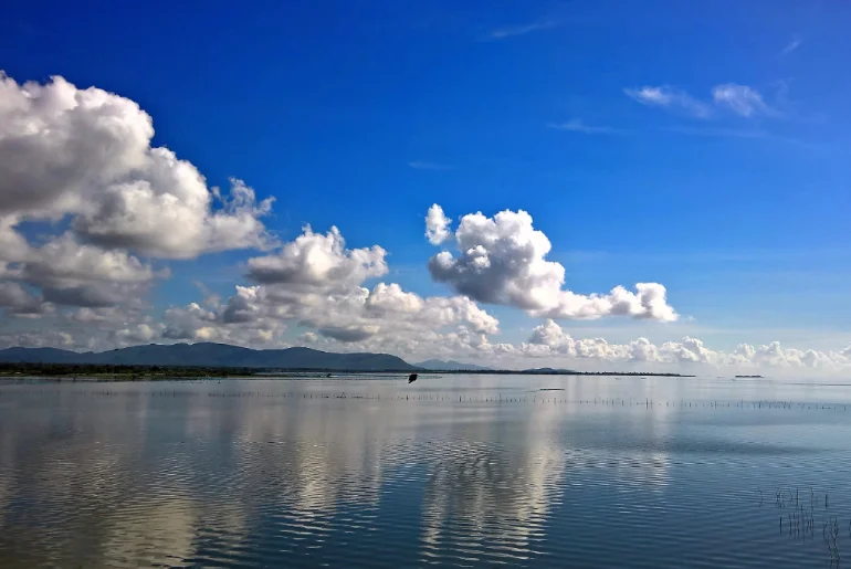 Chilika Lake boat services suspended