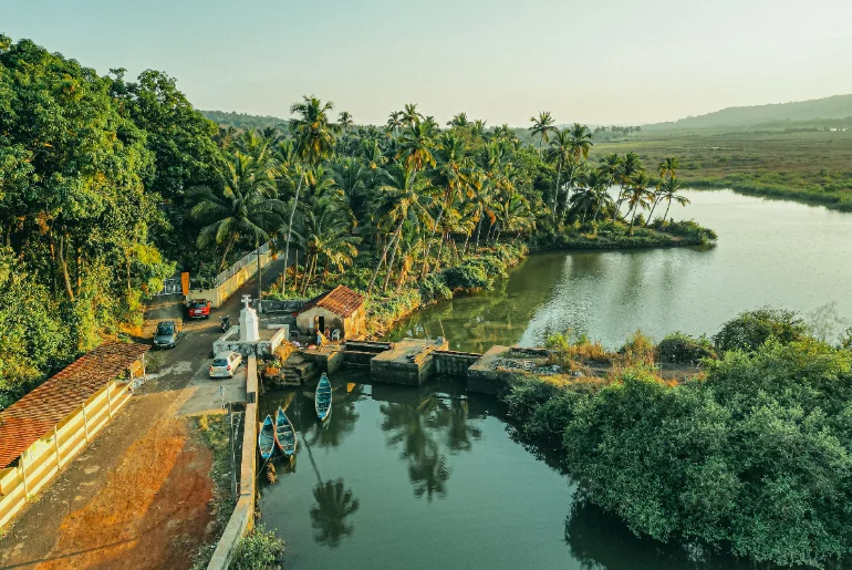 Goa vs Pondicherry: Which Is Safer And Cheaper For Solo Travel? 3 Goa vs Pondicherry for solo travel