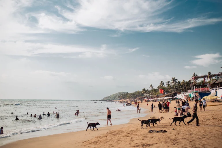 Goa vs Pondicherry: Which Is Safer And Cheaper For Solo Travel? 1 Goa vs Pondicherry for solo travel