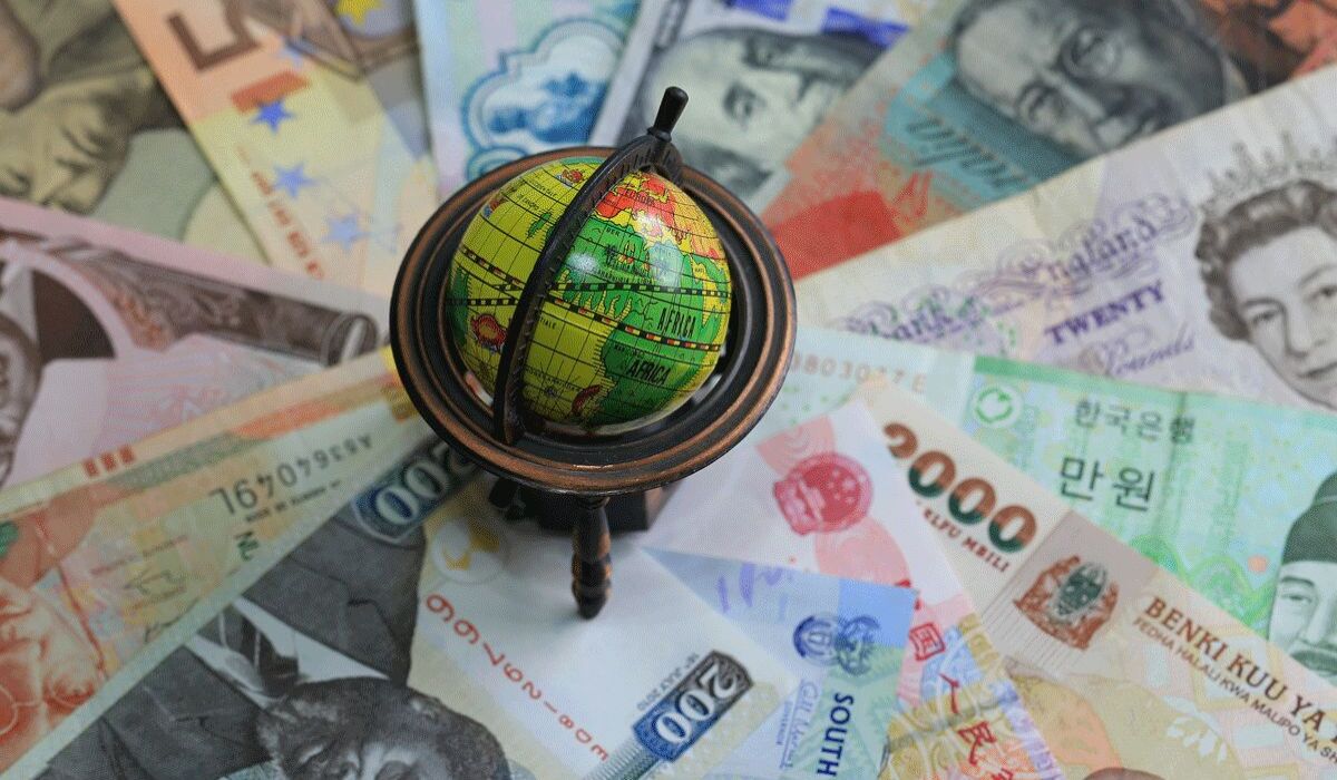 Indian traveler carrying foreign currency and cards for an international trip