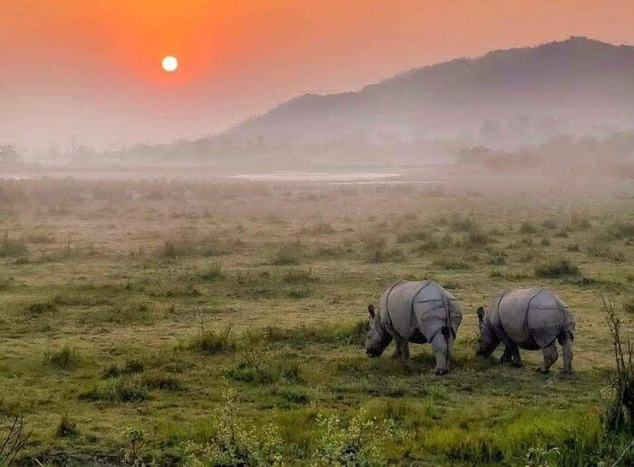 Kaziranga National Park Reopens For 2026–27: What To Know Before Booking A Safari 3 Jeep safari in Kaziranga National Park