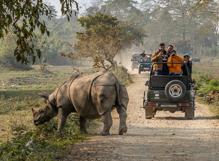 Kaziranga National Park Reopens For 2026–27: What To Know Before Booking A Safari 1 Jeep safari in Kaziranga National Park