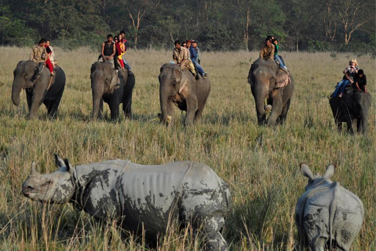 Pobitora Wildlife Sanctuary Reopens: More Safari Jeeps, New Museum & What Visitors Should Know 1 Jeep safari in Pobitora Wildlife Sanctuary in Assam