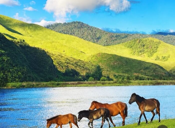 Tourists Are Queuing Up In Manali, Shimla & Nainital: Where Can You Go For A Quieter October Trip? 7 quieter places to visit in October