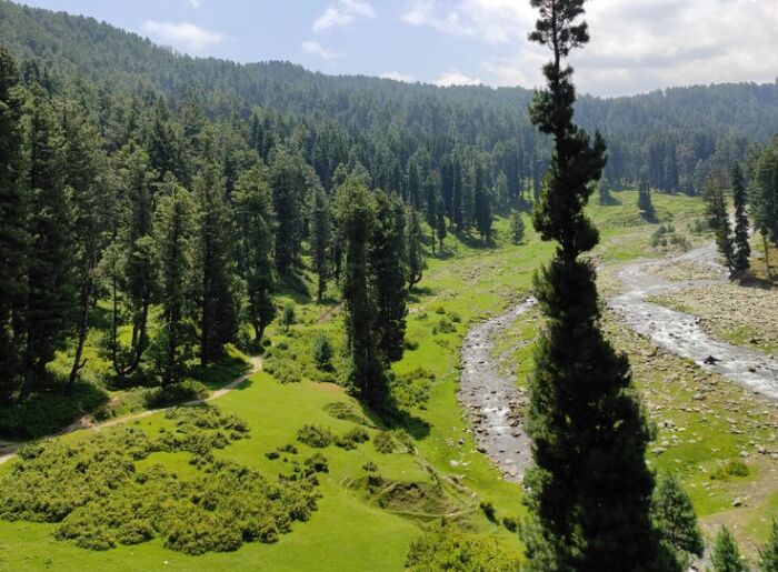 Tourists Are Queuing Up In Manali, Shimla & Nainital: Where Can You Go For A Quieter October Trip? 4 quieter places to visit in October