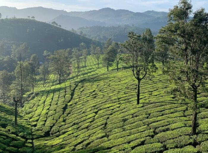 Tourists Are Queuing Up In Manali, Shimla & Nainital: Where Can You Go For A Quieter October Trip? 10 quieter places to visit in October