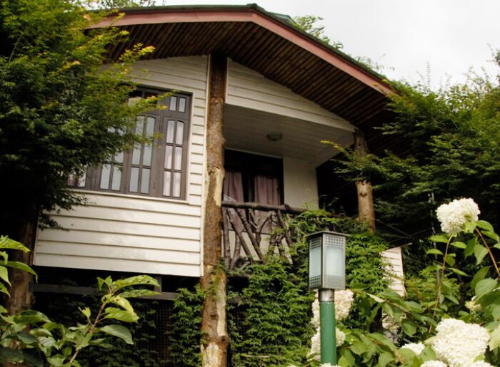 8 Indian Homestays With Views That Make The Journey Worth It 1 Indian homestay surrounded by mountaina and forests