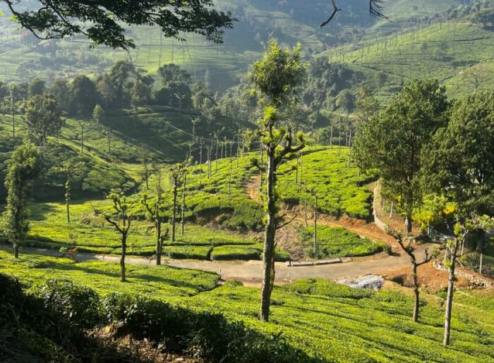 5 Three-Day Trips From Bengaluru That Don't Feel Rushed 3 Three-day travel destinations from Bengaluru