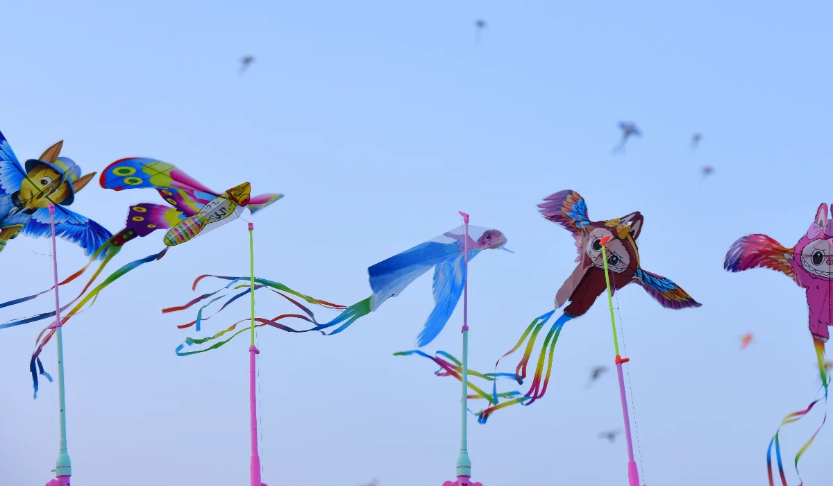 Winter Festivals In India