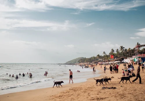 Affordable Stays In South Goa