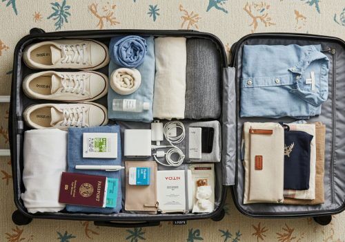Things Indians should pack for an international trip