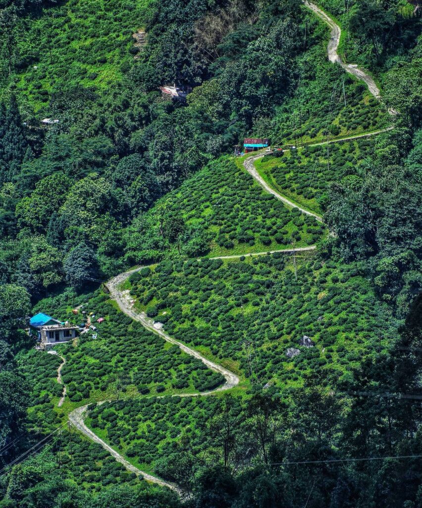 Best Long-Distance Road Trip Routes In India