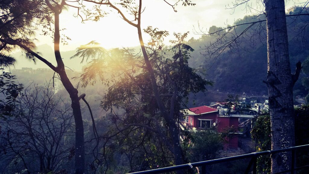 Best Homestays In Kasauli 1 Kasauli