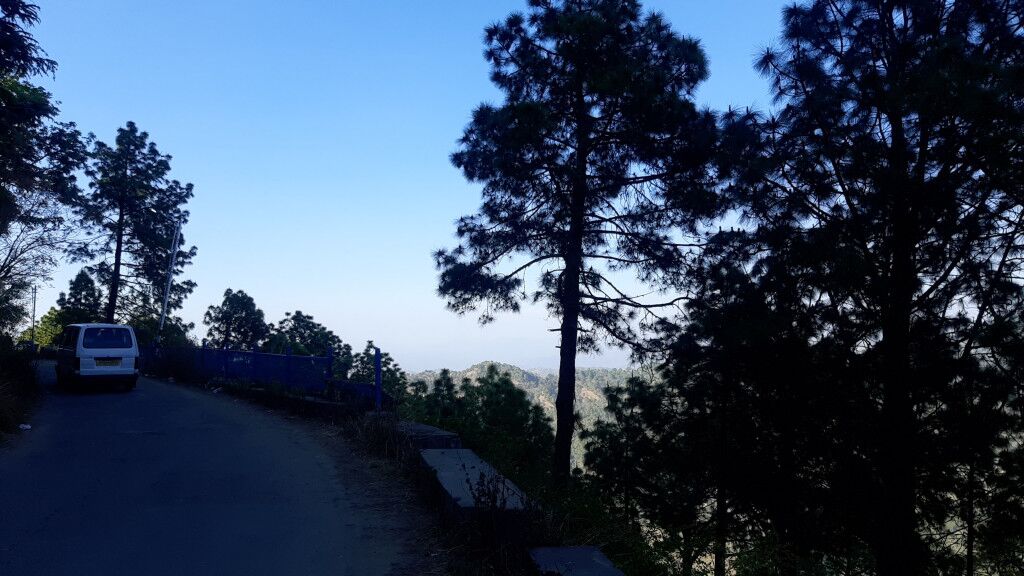 Best Homestays In Kasauli 2 Kasauli