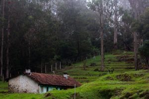 6 Best Road Trips From Chennai 2 Kodaikanal 1