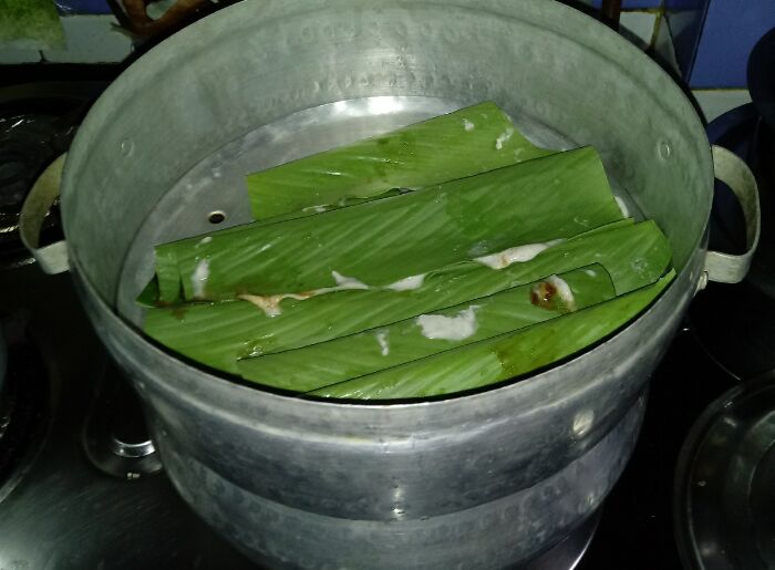 Patoleo