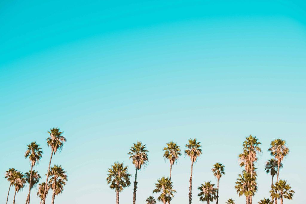 5 Amazing Hill Stations In Gujarat To Beat The Summer Heat 1 corey agopian 5y4ljzRrDFA unsplash 1