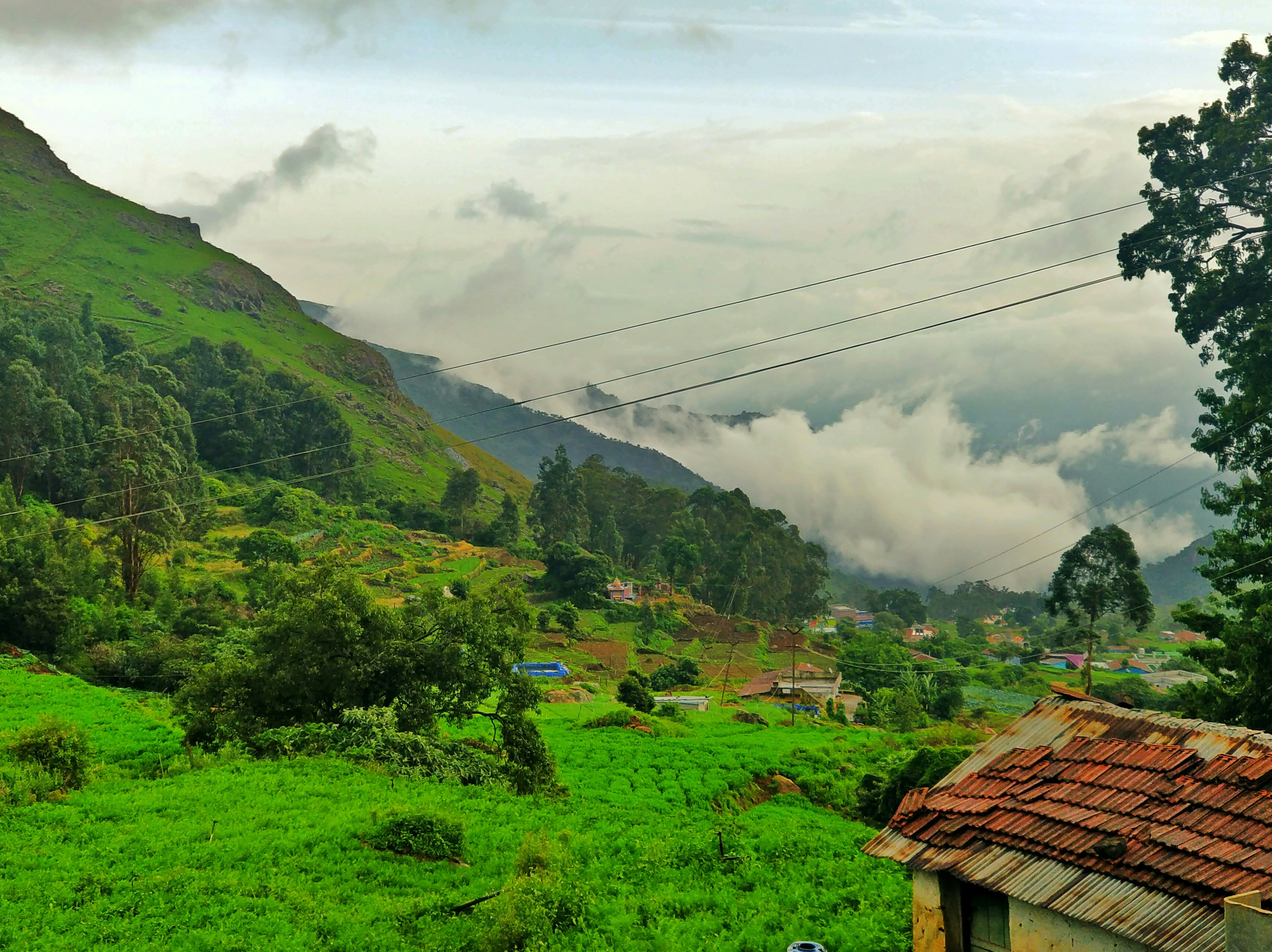 7 Best Luxury Hotels In Ooty For A Romantic Getaway 1 Best Luxury Hotels In Ooty For A Romantic Getaway