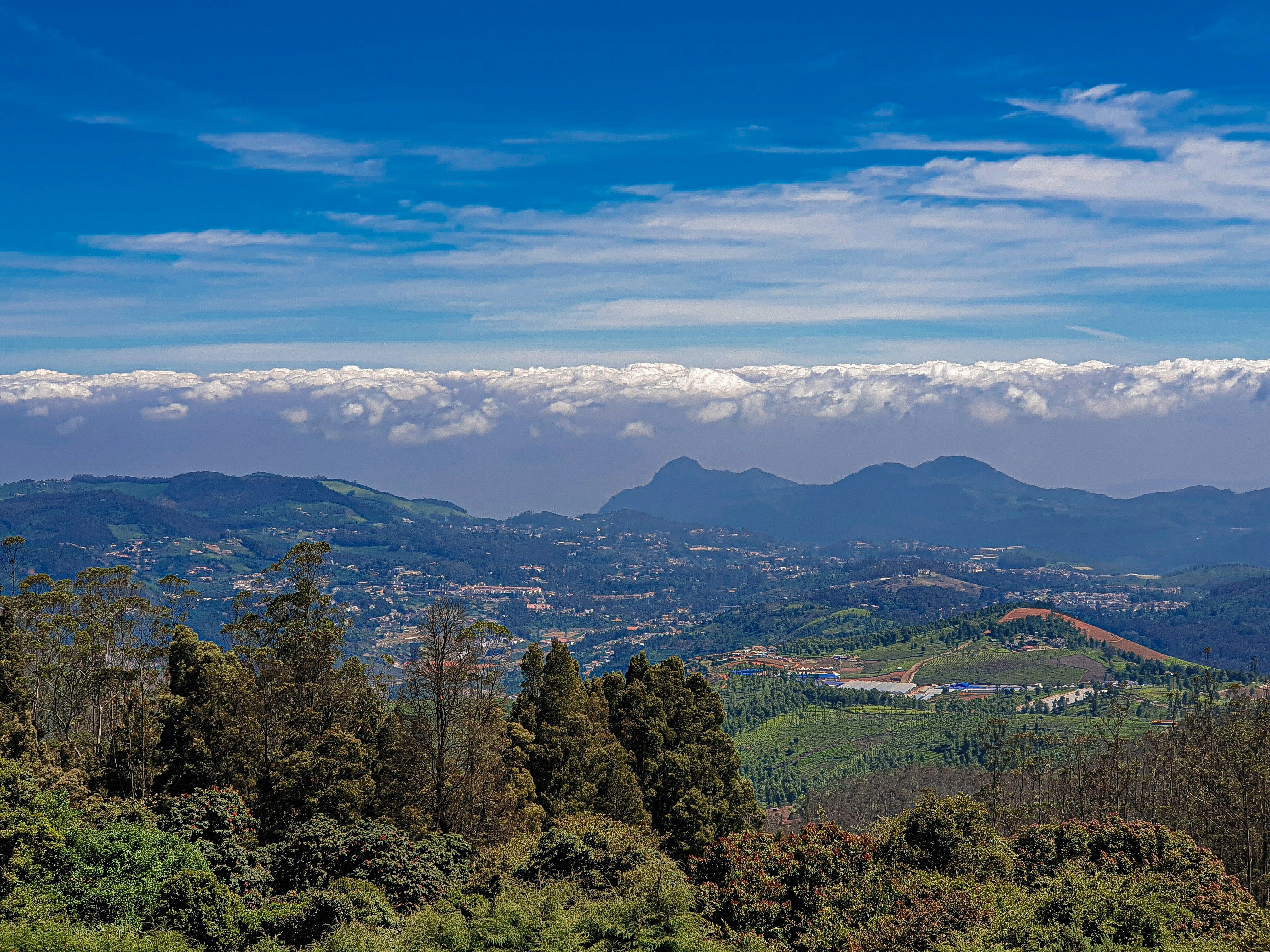 7 Best Luxury Hotels In Ooty For A Romantic Getaway 3 7 Best Luxury Hotels In Ooty For A Romantic Getaway