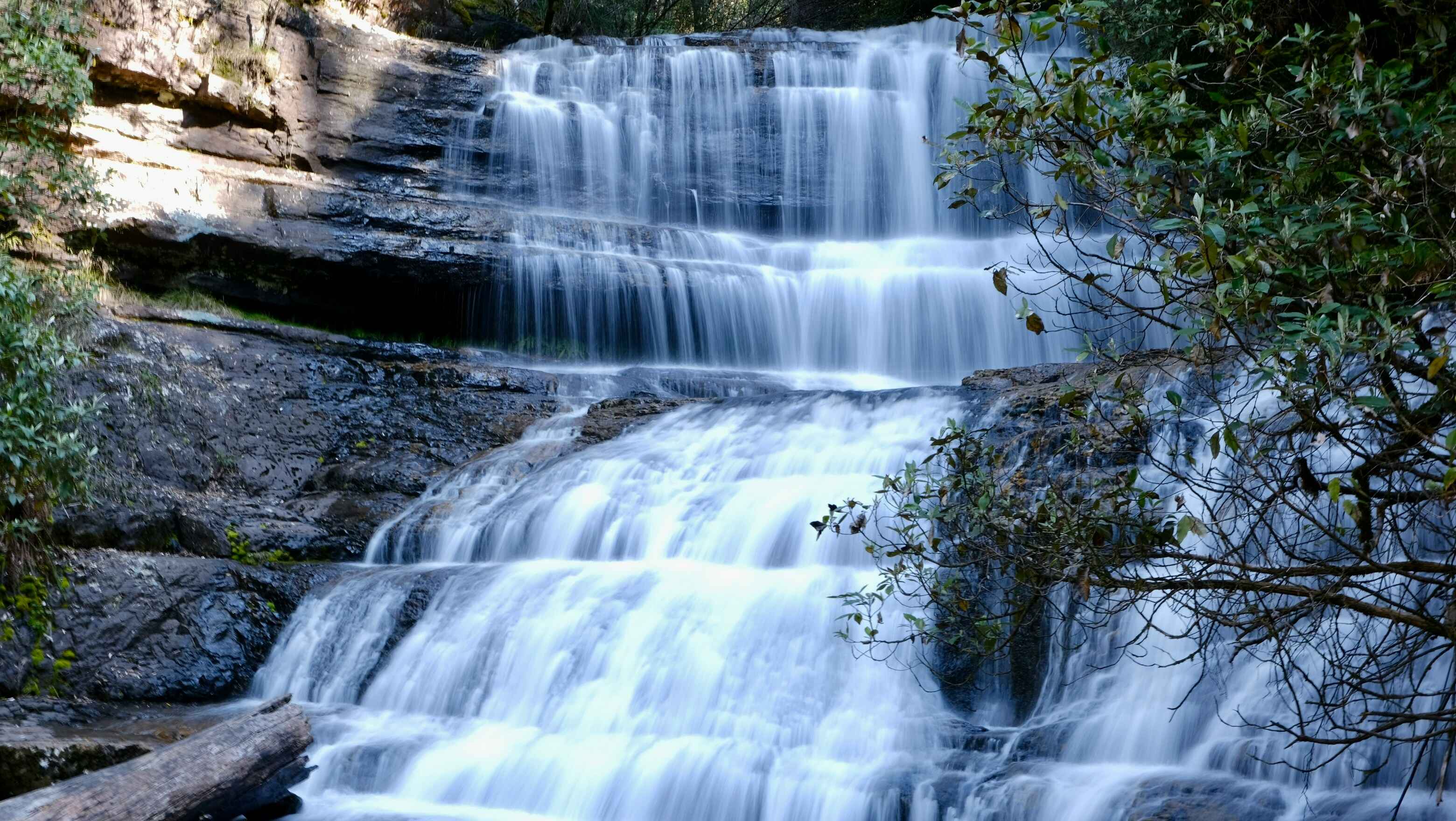 10 Things To Do In Pachmarhi For An Awesome Holiday 1 rega chen ZFGzc3wRP w unsplash 1