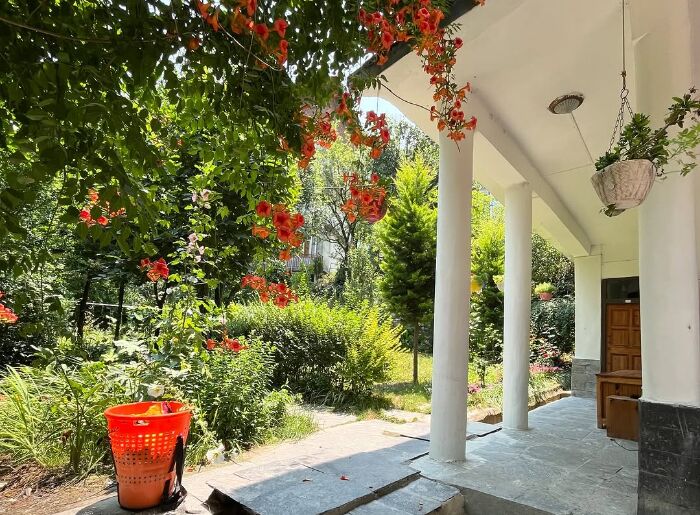5 Women-Owned Homestays In India 1 Blue Sheep