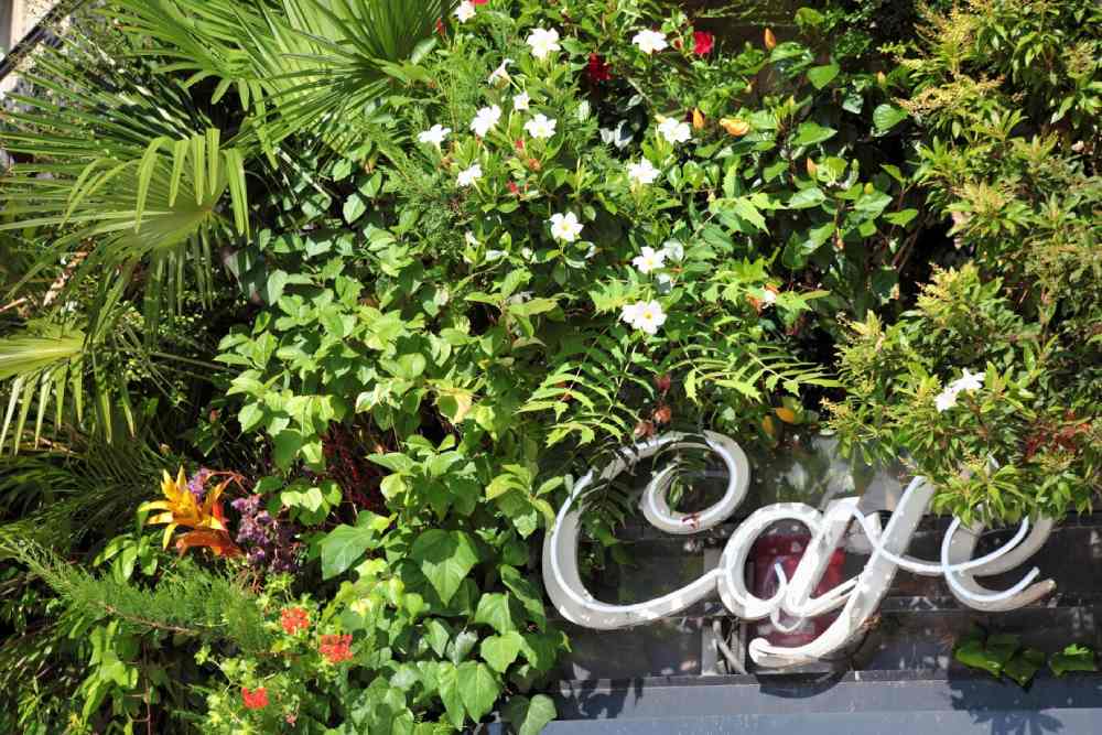 wild garden cafe menu