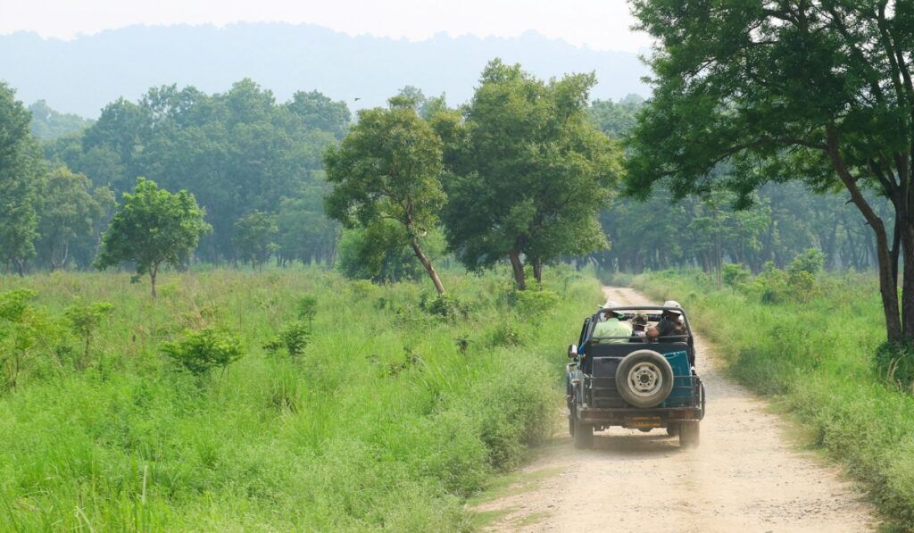 Pench National Park: How To Reach, Best Safaris, Zones & Complete Travel Guide 1 How Many Safaris To Do In Tadoba