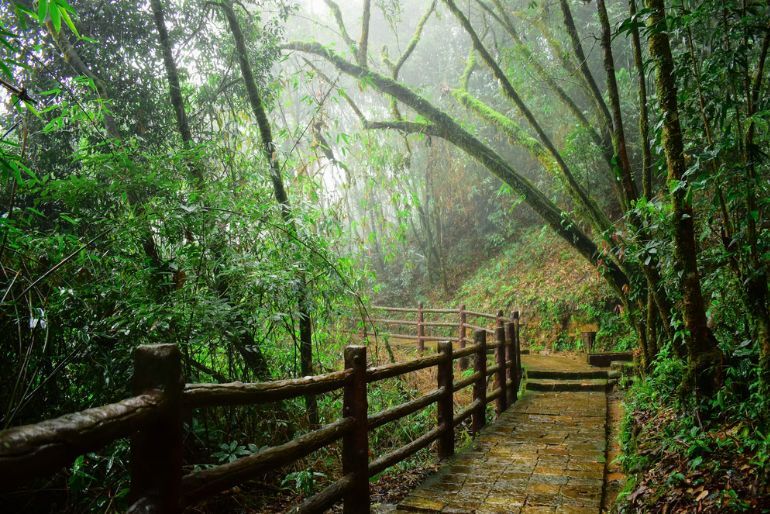 indian places for cycling trip (2)
